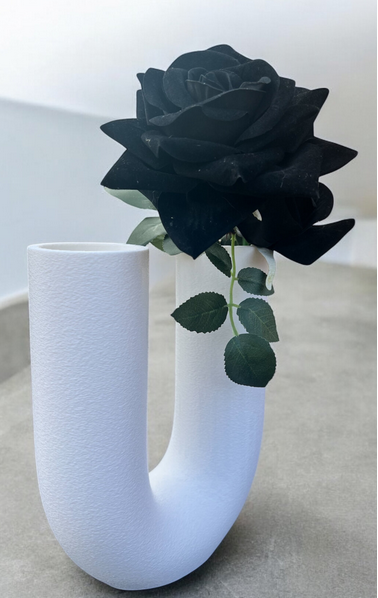 VASO LOOP