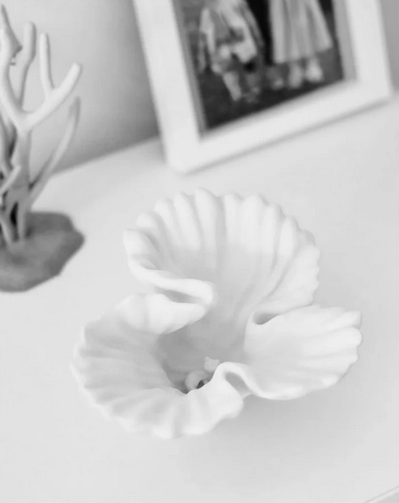 CORALLO PETALO D OCEANO