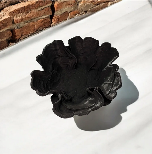 CORAL 3D