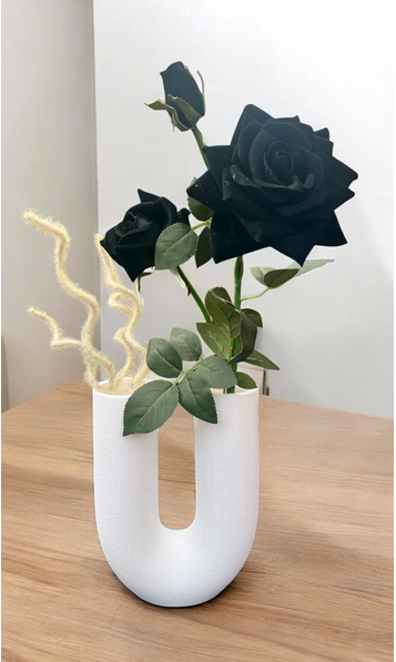VASO LOOP