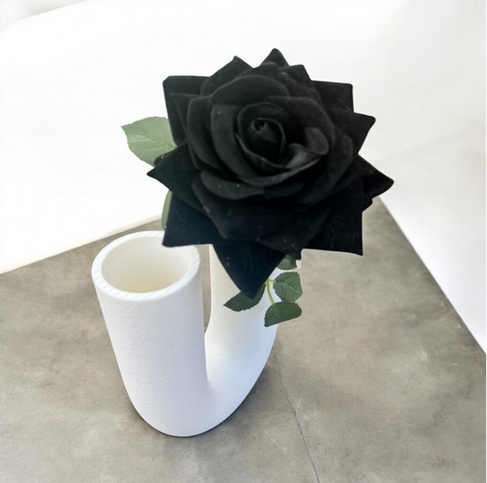 VASO LOOP
