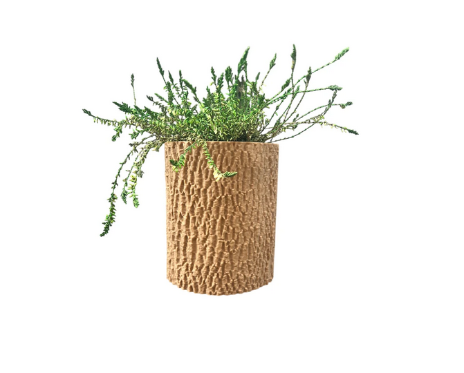 VASO WOODWALL