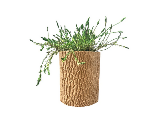 VASO WOODWALL