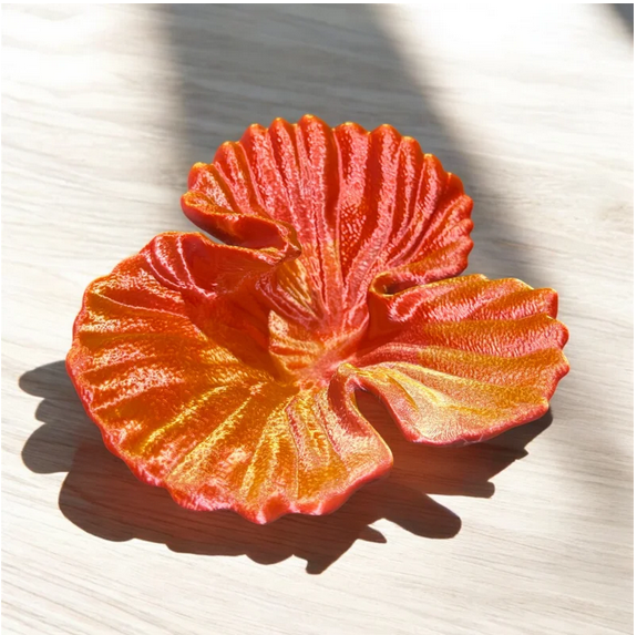 CORALLO PETALO D OCEANO