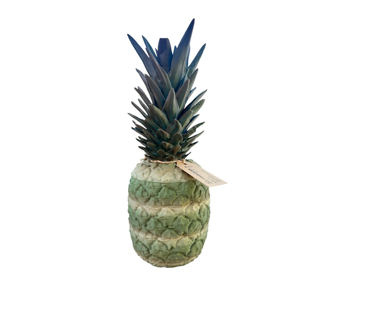 ANANAS CONTENITORE