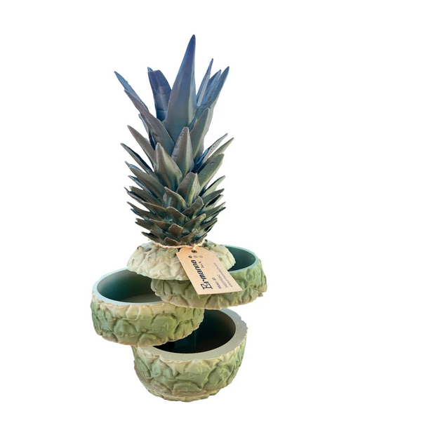 ANANAS CONTENITORE