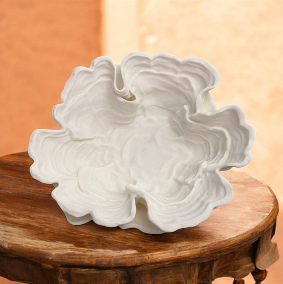 CORAL 3D