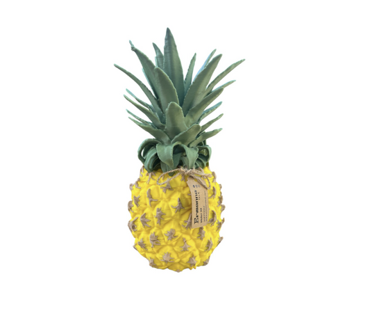 PINEAPPLE PARTY SET